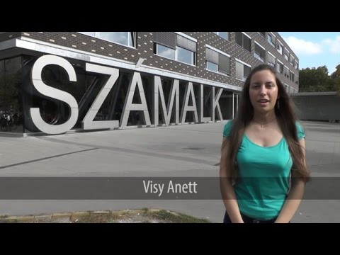 Programok az interneten való nagy pénzszerzéshez