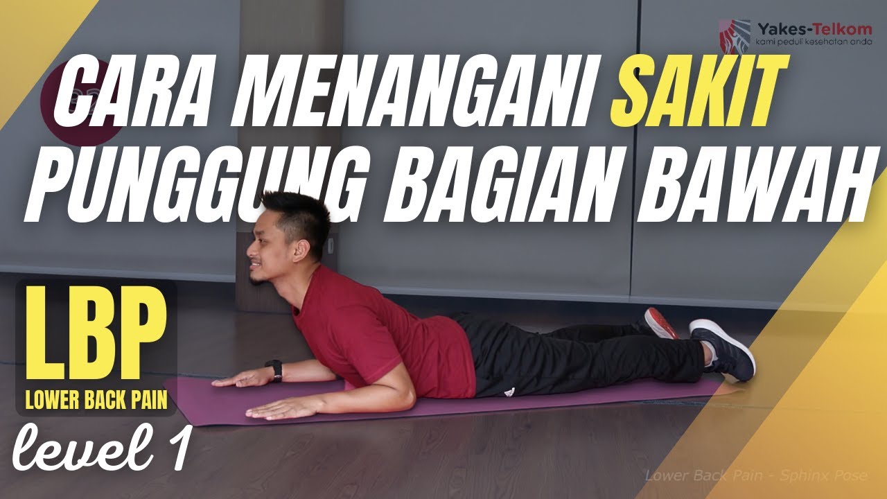 6 Gerakan Mengatasi Sakit Punggung Bawah (Level 1)