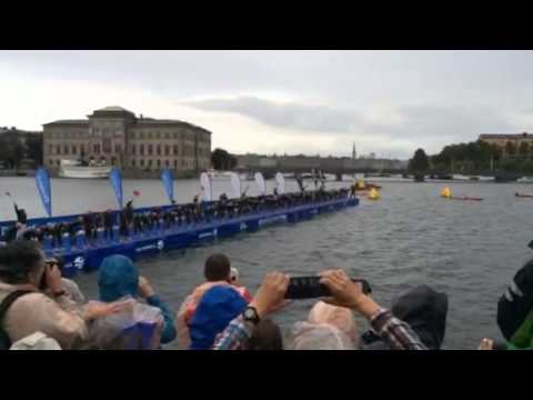 World Triathlon Stockholm 2014