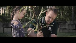 Eden Trees - Tree Removal Brisbane  - Arborist