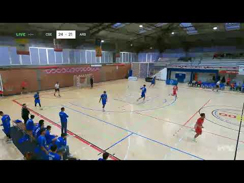 Cajasol Sevilla Bm Proin vs ARS NARANJAS PALMA DEL RIO