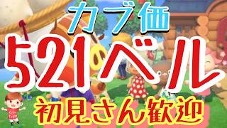 【あつ森】カブ価527ベル島など　ライブ参加型