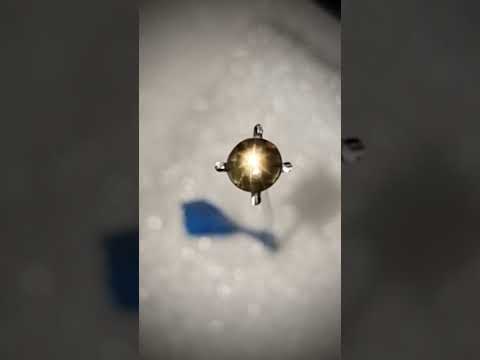 12 Ray Star Sapphire At The Gem Museum in GemGeneve 2022 Nov 3rd - 6th 2022