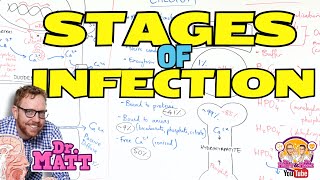 Stages of Infection