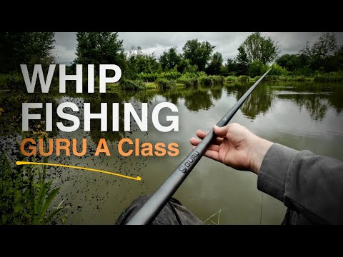 Whip Fishing a New Lake with Guru A Class 4m – Crucian Carp & Roach Feast!