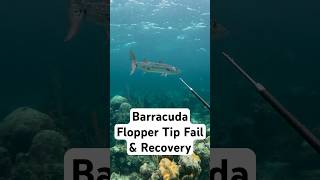 Barracuda Flopper Tip Fail - Found Him Later #spearfishing #spearo #hunting #barracuda #polespear
