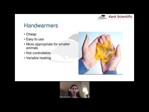 The Heat is On A Technical Overview of Animal Warming | Kent Scientific