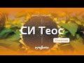 Насіння соняшнику Теос Круїзер