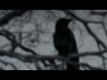 Thorne Hate Slowed