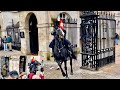 Incredible Horsemanship: Royal Guards Handle High Drama at Horse Guard!