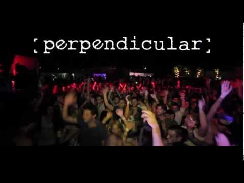 Perpendicular The Jungle