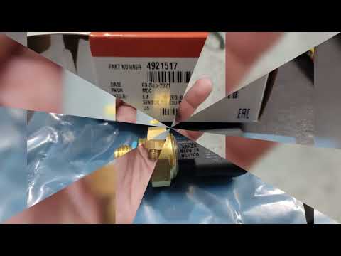 Oil Pressure Switch