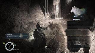 Beast of Reincarnation　ヌシシカ　2戦目　フェーズ1