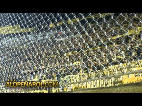 "Hace años que yo vengo a alentar al carbonero" Barra: Barra Amsterdam • Club: Peñarol