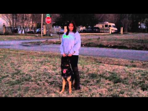 Protection Shereen and Gus