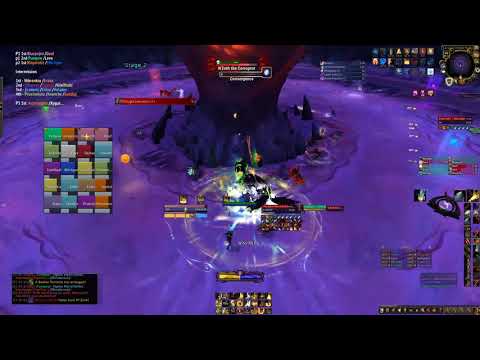 Honestly vs Mythic N'zoth Prot Paladin raid leader PoV
