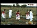 Meti Jamama Gurbaa Bareeda Oromo Music