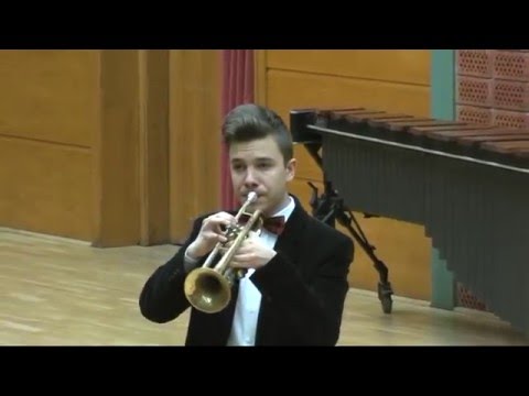 Francis Thomé (1850-1909) Fantaisie