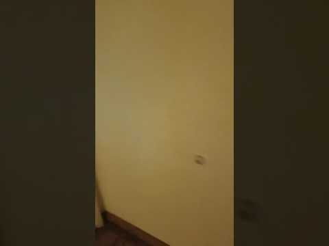 Hobby Airport Inn in Houston Texas ....Horrifying.