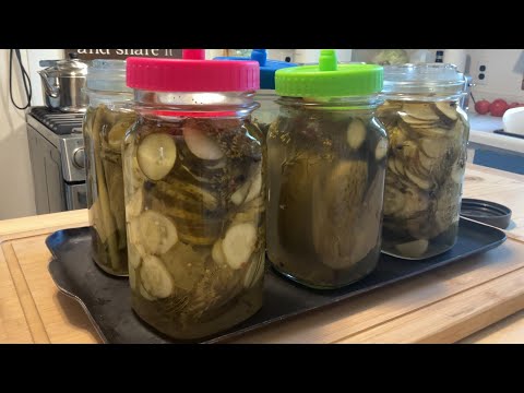 Our Fermented Pickles (Don't Do What We Did)