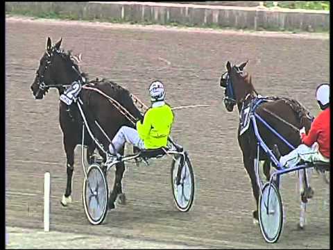 Trotto 22/10/2015 - 3° corsa