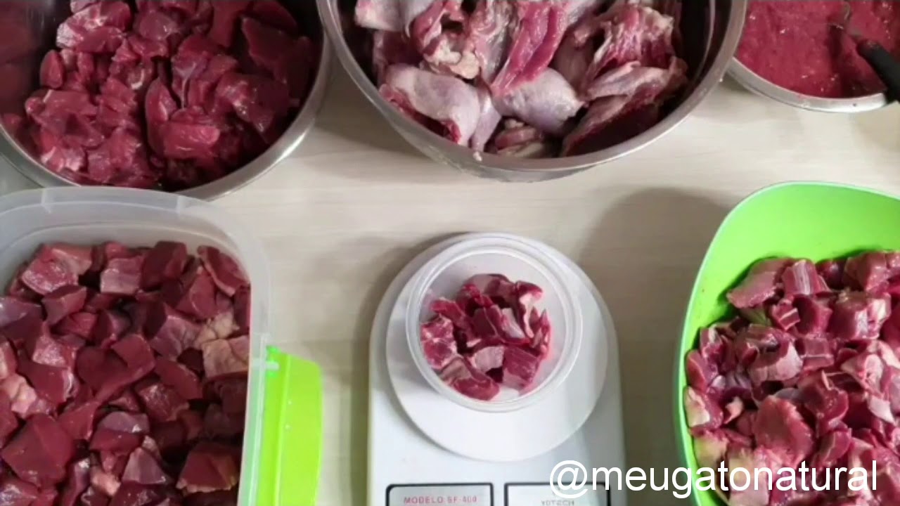 Watch Now Alimentação natural para gatos - dieta BARF Alimentação natural para gatos - dieta BARF