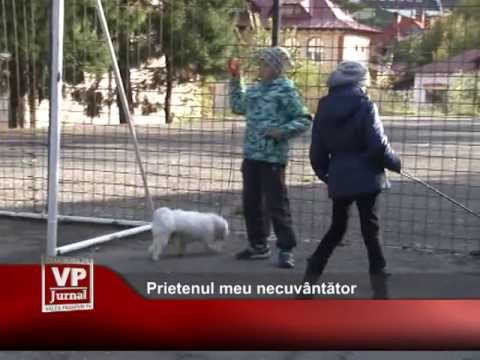 Prietenul meu necuvântător