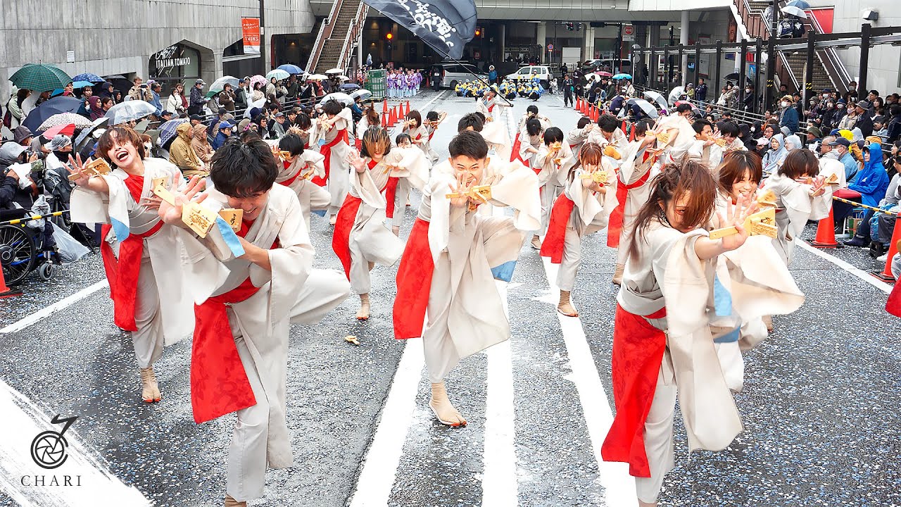 【8K】柳葉魚のざわめき『この身体がゆく先』（町田夢舞生ッスイ祭 2025）