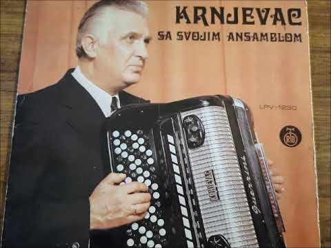 Miodrag Krnjevac - Pesma harmonici
