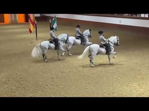 Rafael Soto Andrade at the Royal Andalusian School of Equestrian Art in Jerez