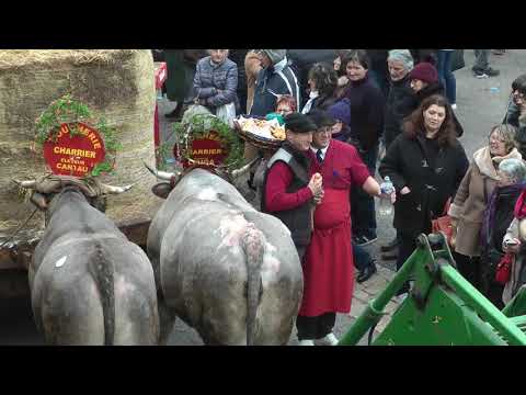 Fête des bœufs gras à Bazas - 2018
