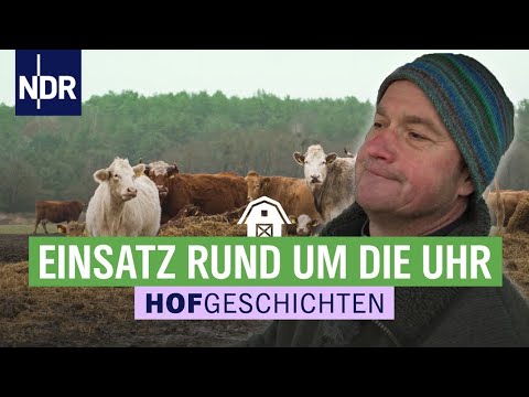 Intensiv & abwechslungsreich: das harte Arbeitsleben auf den Höfen | (166) | Die Nordreportage