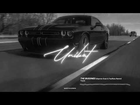 Tiestö - The Bussines (Alperen Ocak & TwoRule Remix)
