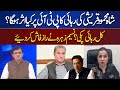 What Will Be Effect of Release Shah Mehmood Qureshi on PTI? | Nasim Zehra Great Analysis