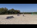 Top cheval amateur