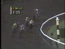1989 Breeders' Cup Classic