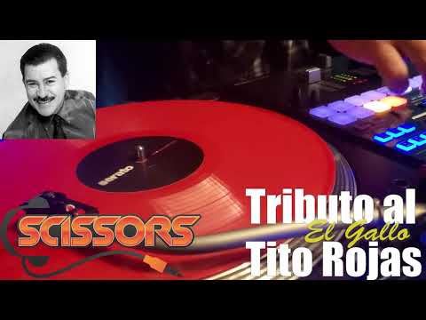 Tito Rojas Tribute Mix #riptitorojas | El Gallo | Mezcla de Tributo