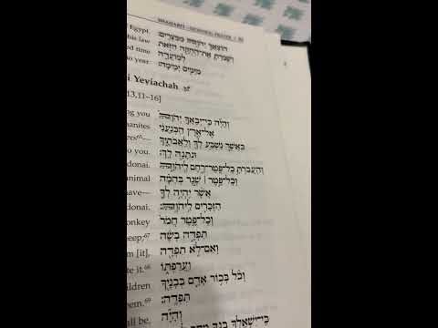 Vehaya Ki Yeviachah Exodus 13:11-16