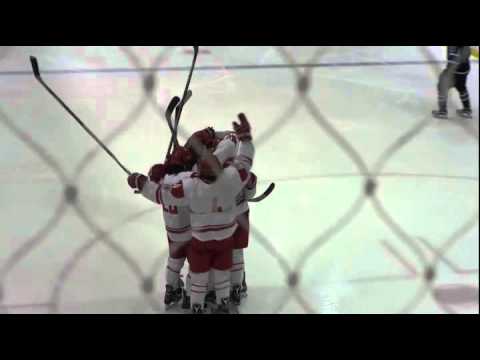 MSOE Hockey vs Aurora 2-12-16 - 3rd Period Goal