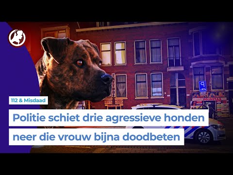 Drie honden bijten vrouw bijna dood