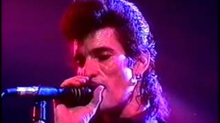 Mink deVille  She Was Made in Heaven