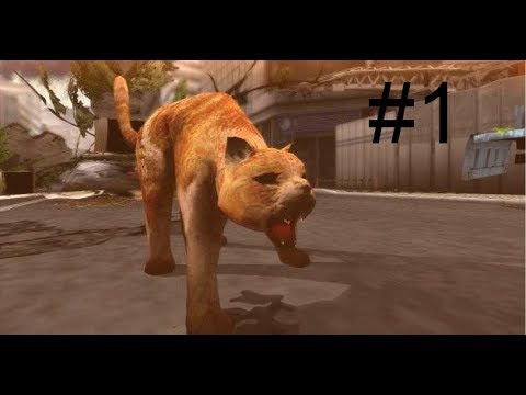 Surviving Tokyo Jungle #1 Cats stick together! (Feat WhiteFang)