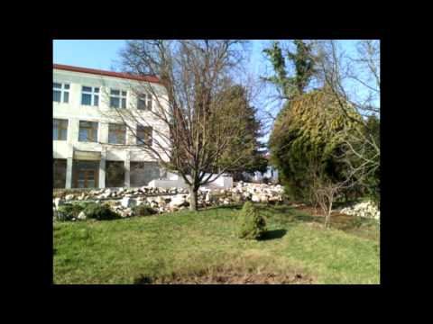 Happy Birthday to Me! (Arsenium Todiras song)