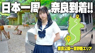 中古の軽バンで日本一周、念願の奈良県にやってきました!!
