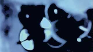 Andrew Bird - Action/Adventure