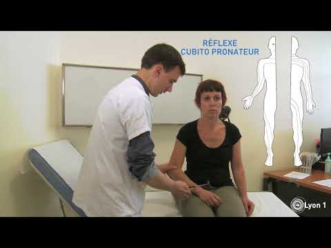 Percussion des réflexes ostéo-tendineux