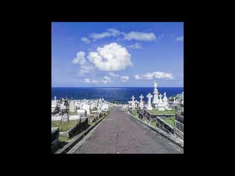 drippin so pretty- Shallow (prod thislandis)