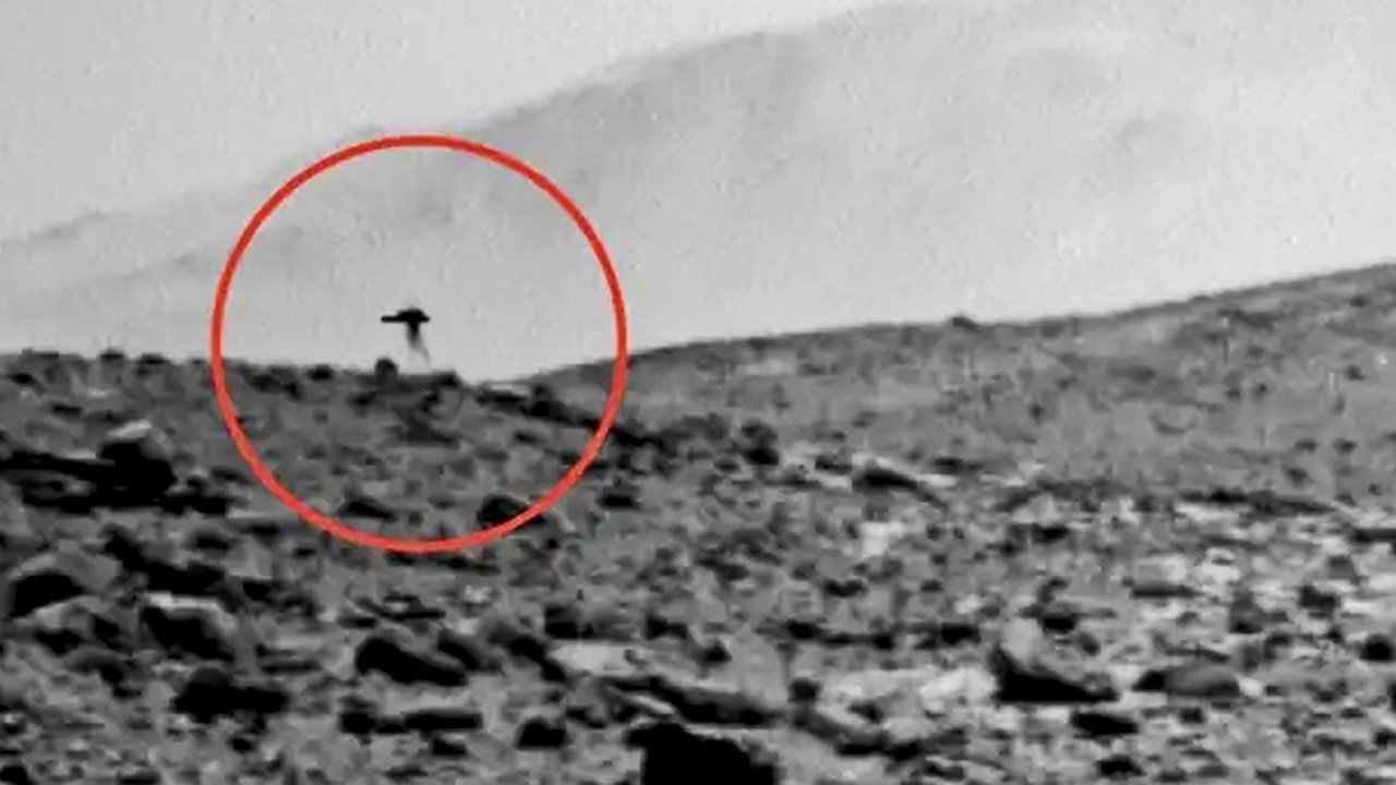LA NASA FOTOGRAFÍA UNA MEDUSA EN MARTE - ¿Extraterrestres o glitch?