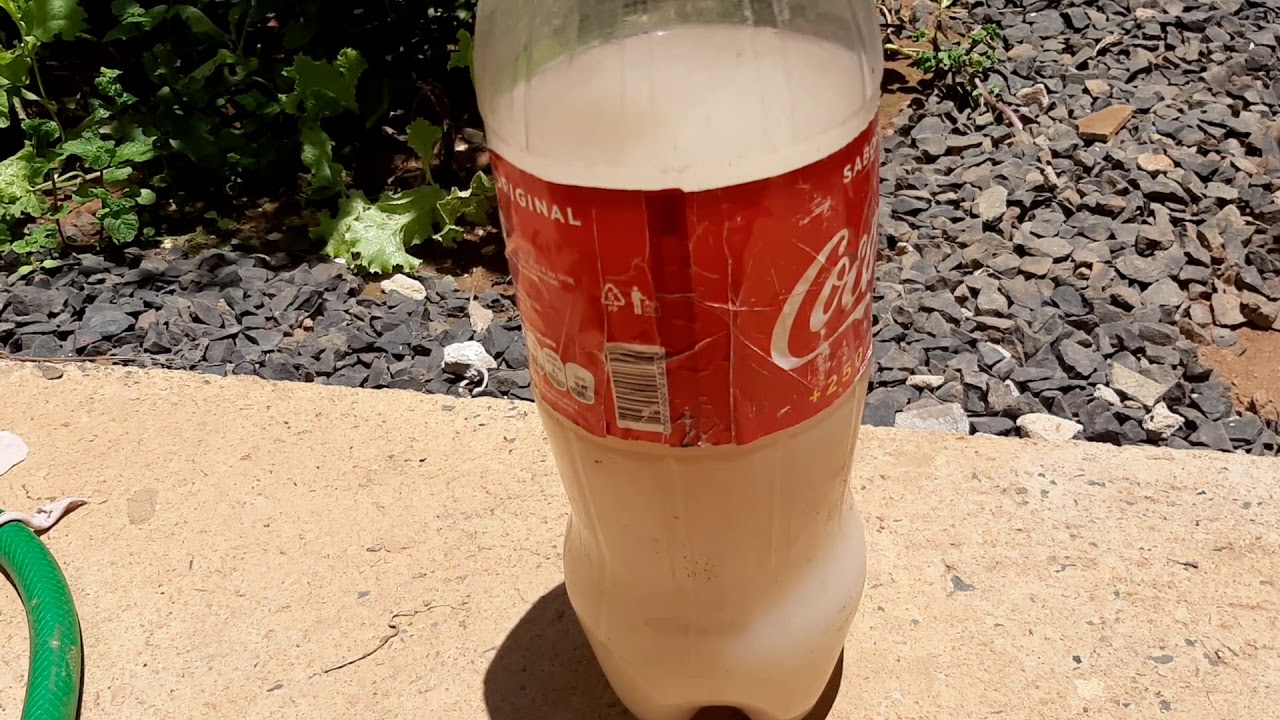 Watch Now Acabar com formiga - Regente para formiga - Veneno formiga Acabar com formiga - Regente para formiga - Veneno formiga