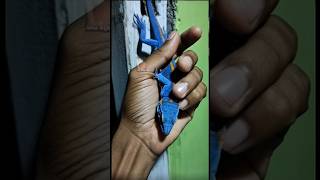 Download lagu Yukay the shy gecko #shorts #hewanpeliharaan #unique #short #tokekhias #pets mp3